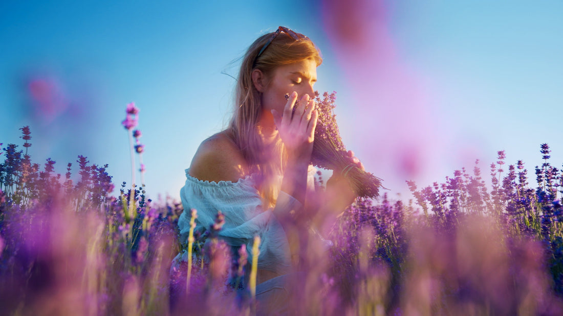 Lavendel: wat zit er eigenlijk achter deze bekende essentiële olie?