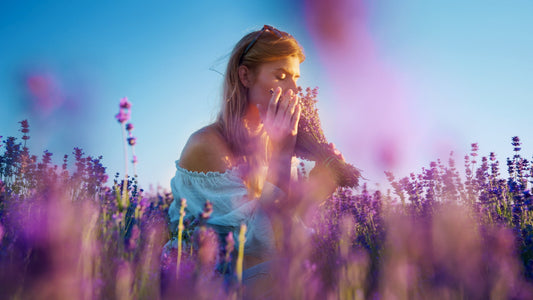 Lavendel: wat zit er eigenlijk achter deze bekende essentiële olie?